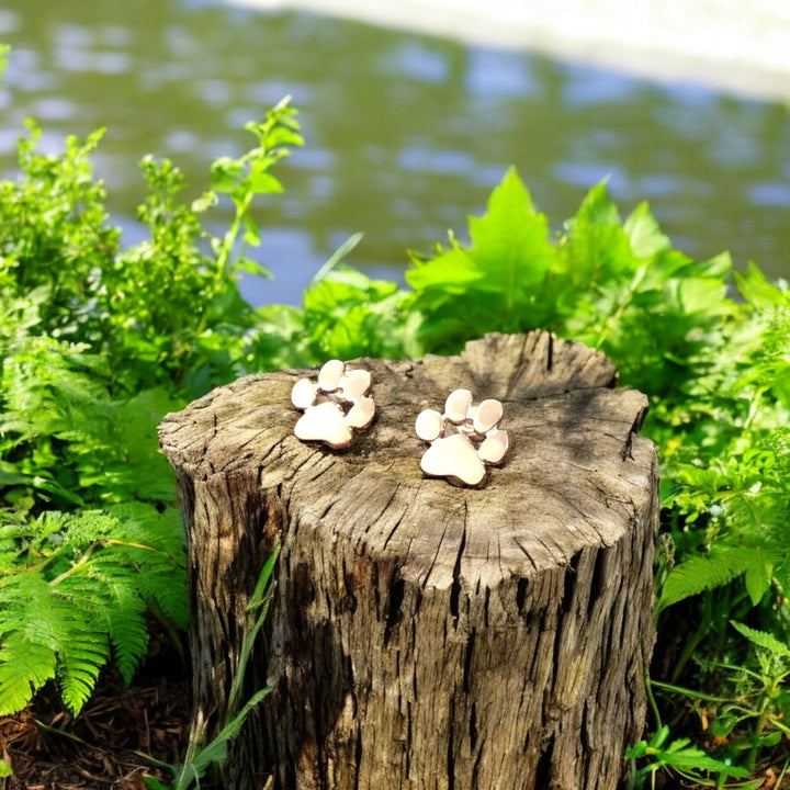 Náušnice v tvare labky z nehrdzavejúcej ocele hypoalergénne