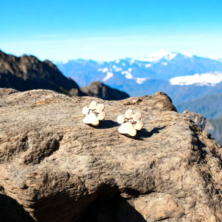 Náušnice v tvare labky z nehrdzavejúcej ocele hypoalergénne